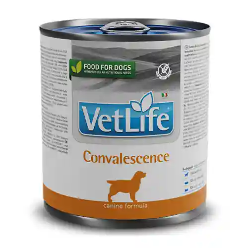 Farmina Vet Life Convalesence Wet Food for Dogs, 300g