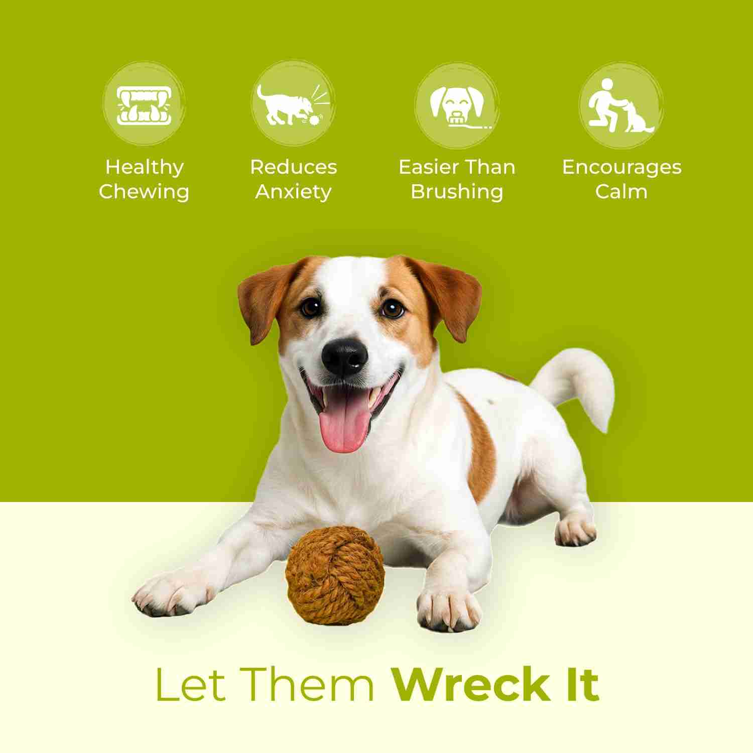 Human and The Beast The ORB Chew Clean Ball Toy for Dog