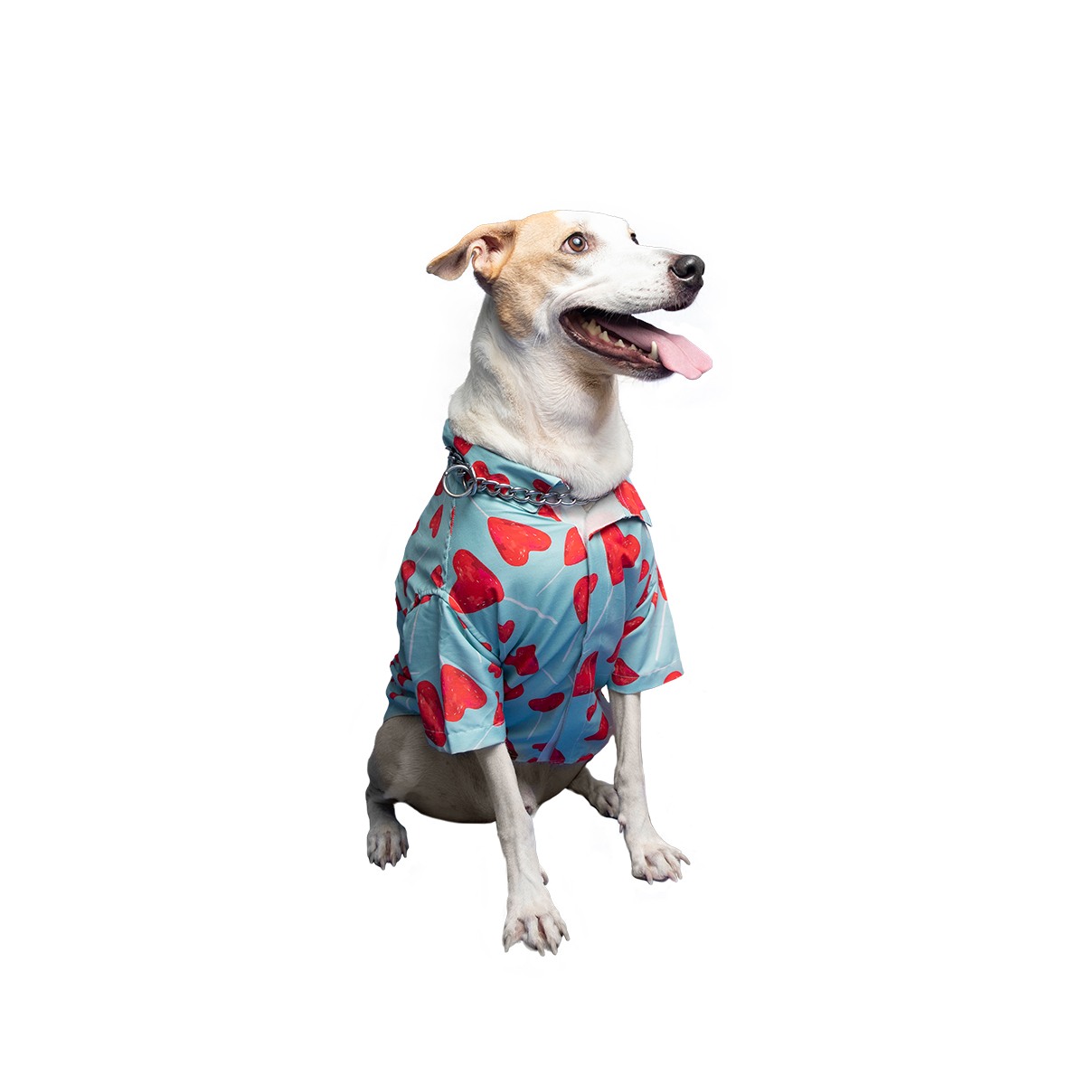 Ezra. | Ezra Polyester Blend Dog Shirt - Heart Stick