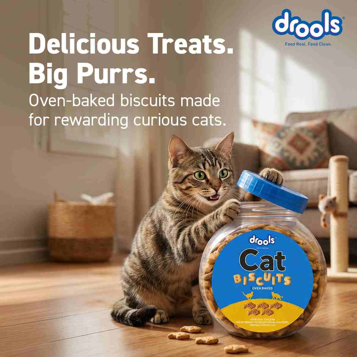 Drools Real Chicken Biscuits Cat Treats for All Life Stages, Jar