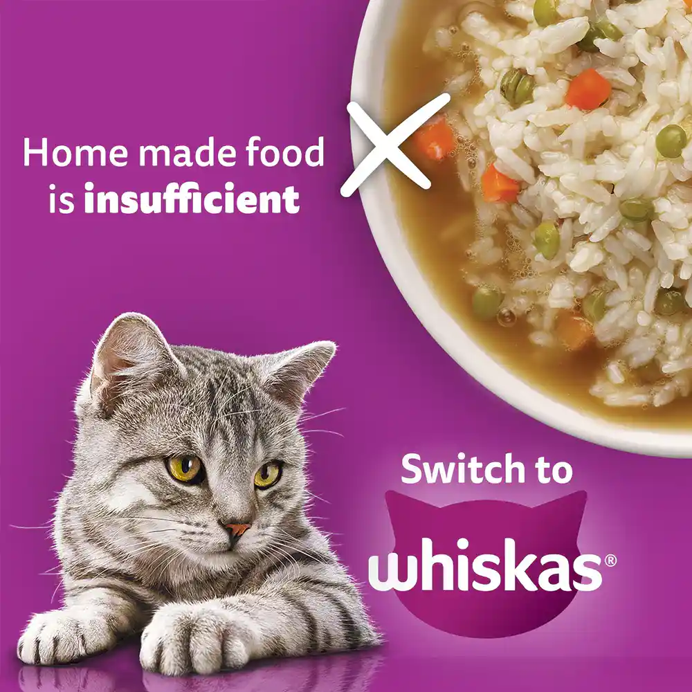 Whiskas Adult Salmon With Gravy 85 Gm – (Best Before Jan’26)