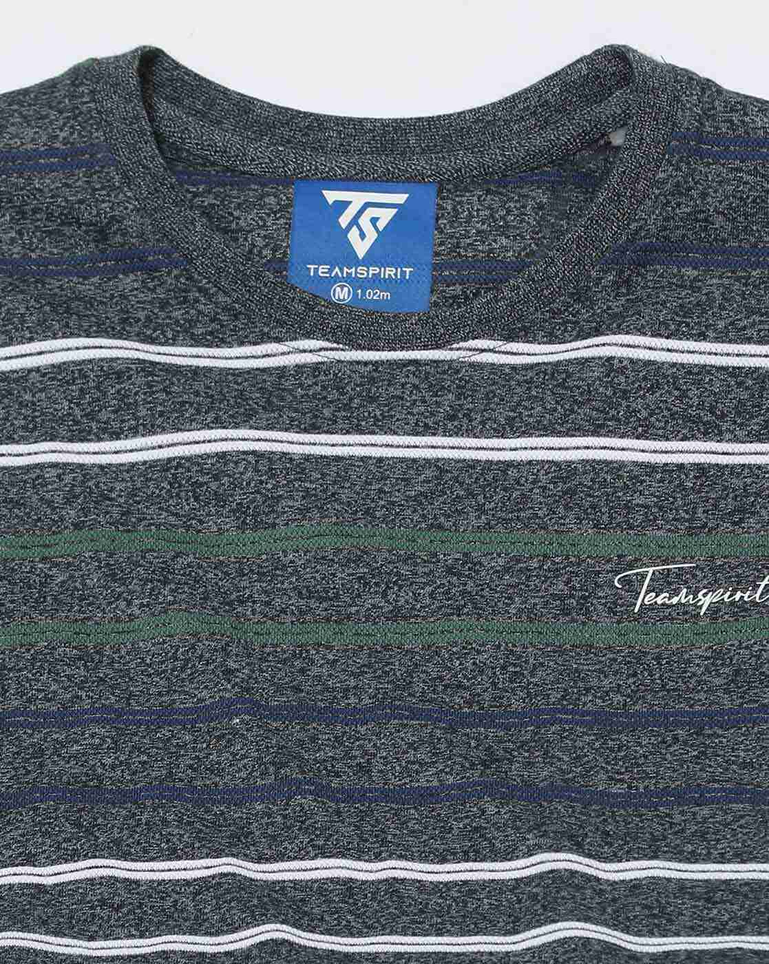 Teamspirit | Men Striped Regular Fit Crew-Neck T-Shirt|4