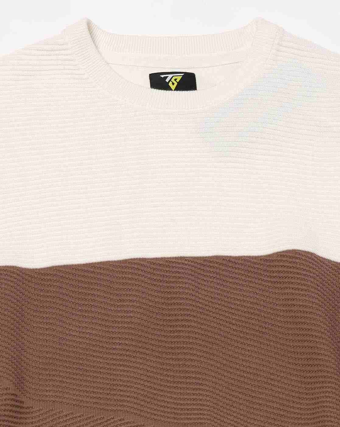 Teamspirit | Men Colourblock Regular Fit Crew-Neck T-Shirt|5
