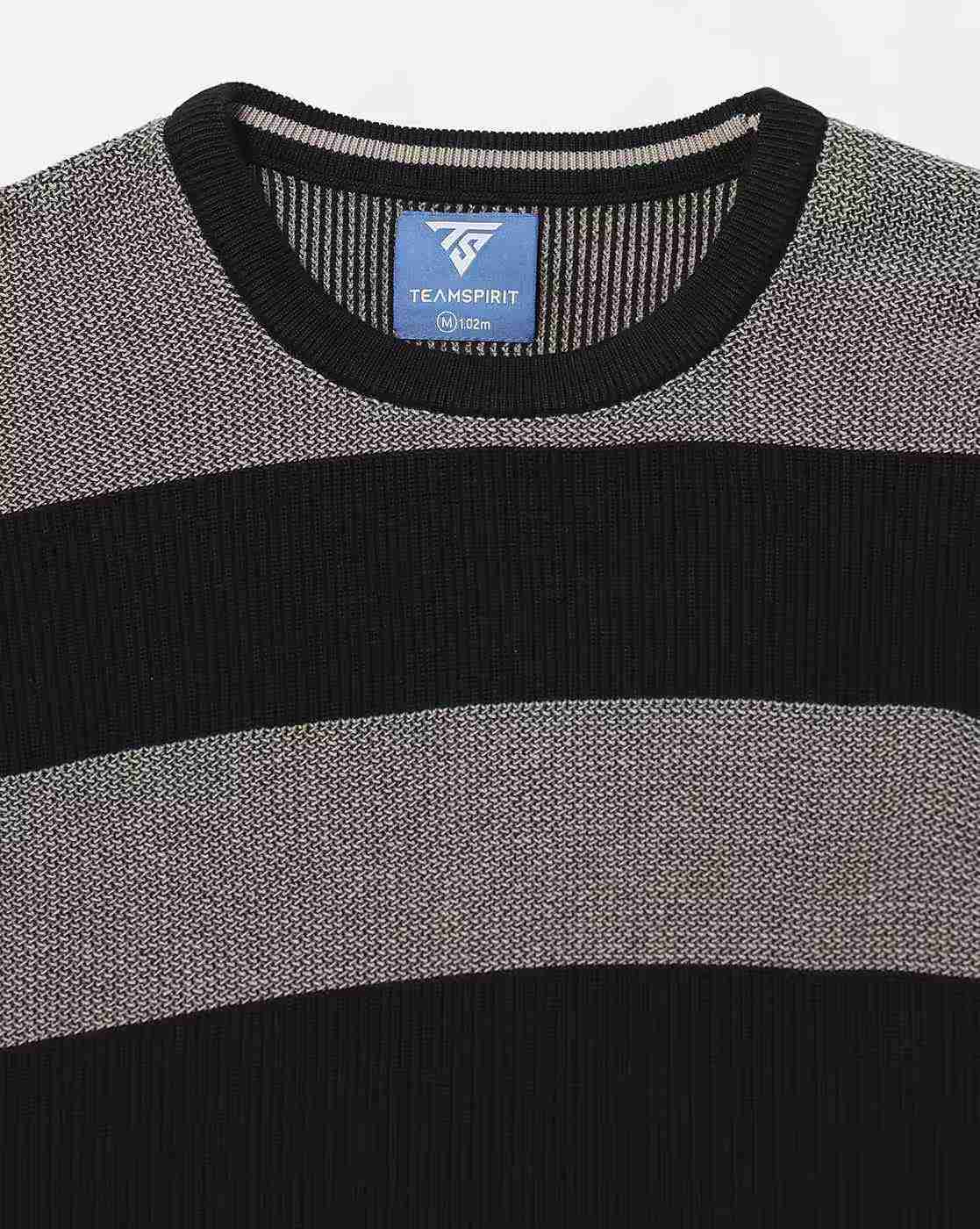 Teamspirit | Men Striped Regular Fit Crew-Neck T-Shirt|6