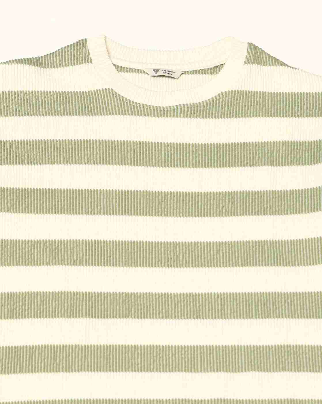 Teamspirit | Men Striped Regular Fit Crew-Neck T-shirt|5