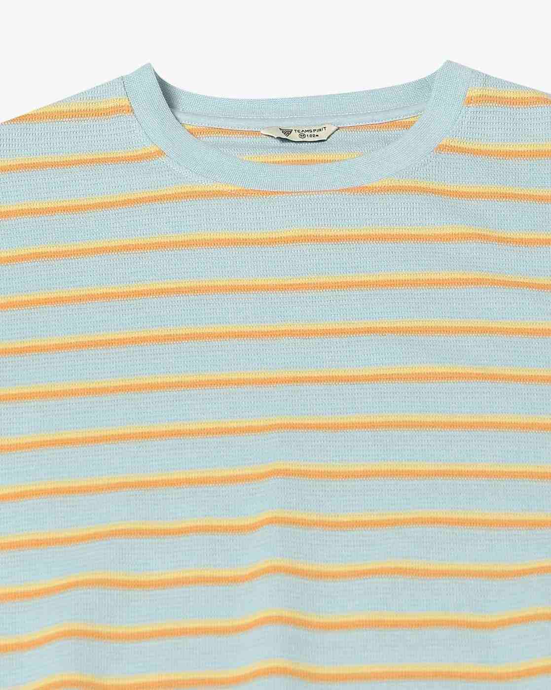 Teamspirit | Men Striped Regular Fit Crew-Neck T-Shirt|4