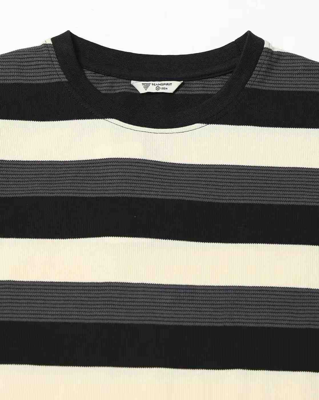 Teamspirit | Men Striped Regular Fit Crew-Neck T-Shirt|4