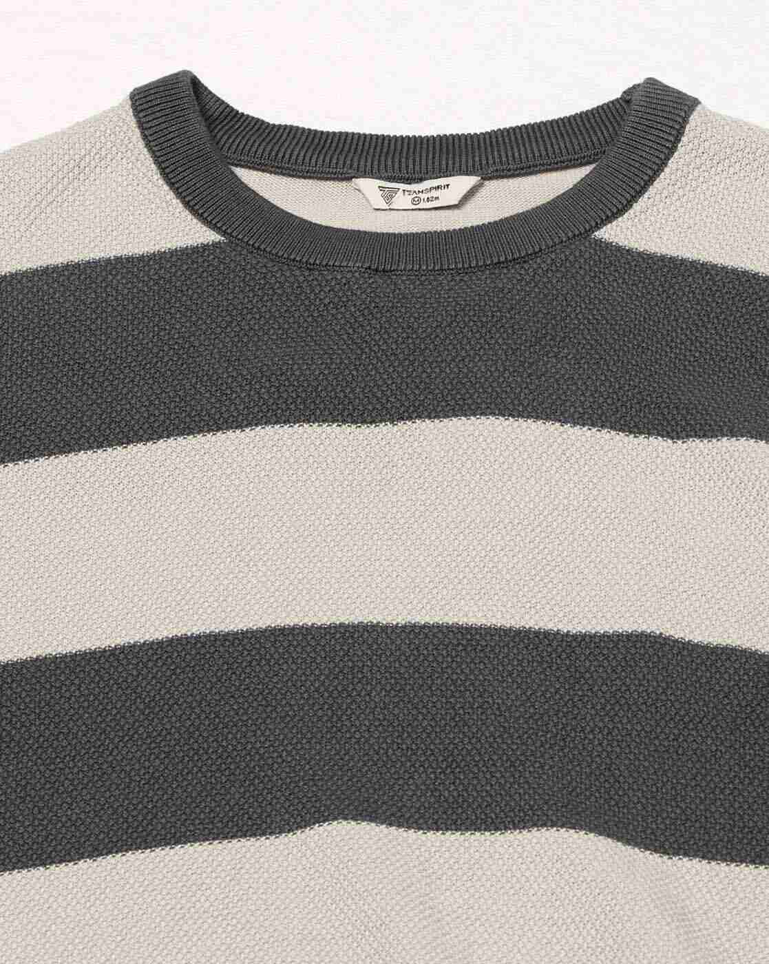 Teamspirit | Men Striped Jacquard Regular Fit T-Shirt|5