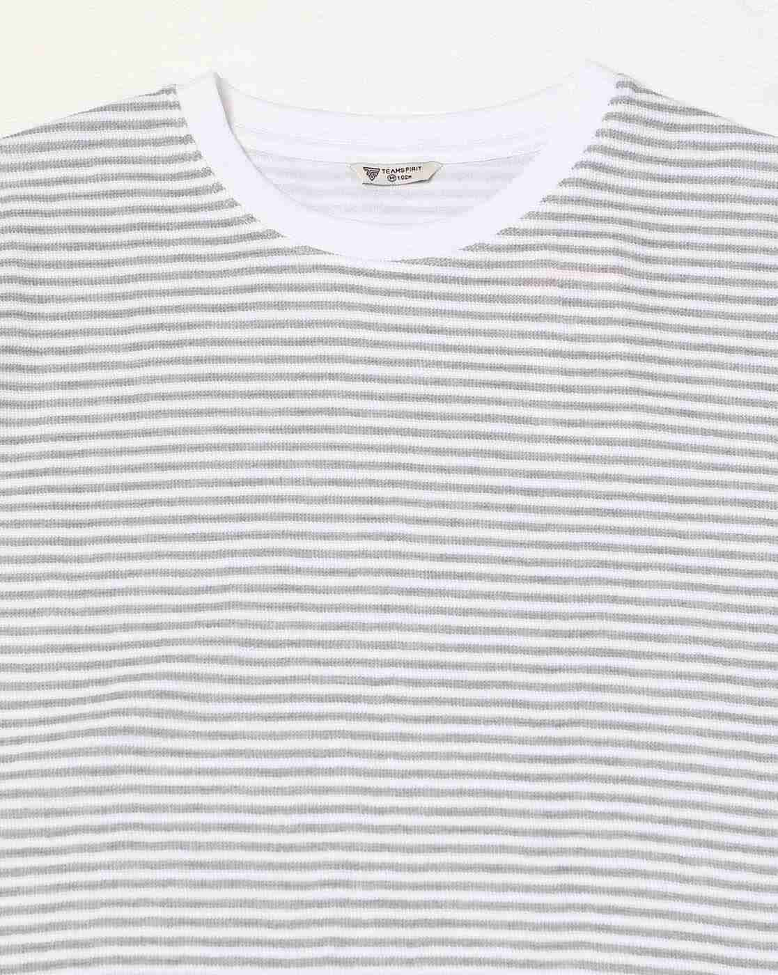 Teamspirit | Men Striped Regular Fit Crew-Neck T-Shirt|4