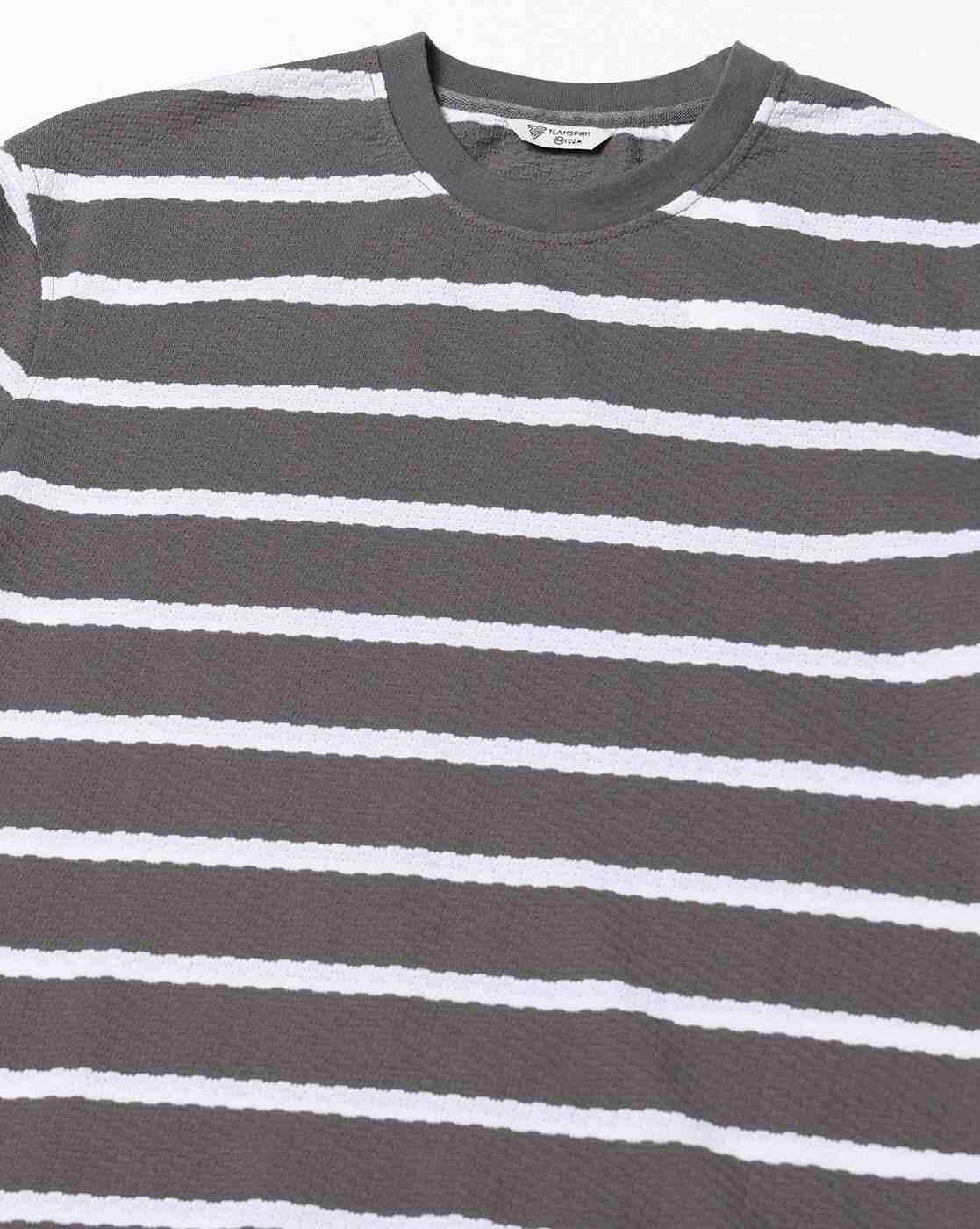Teamspirit | Men Striped Regular Fit Crew-Neck T-Shirt|4