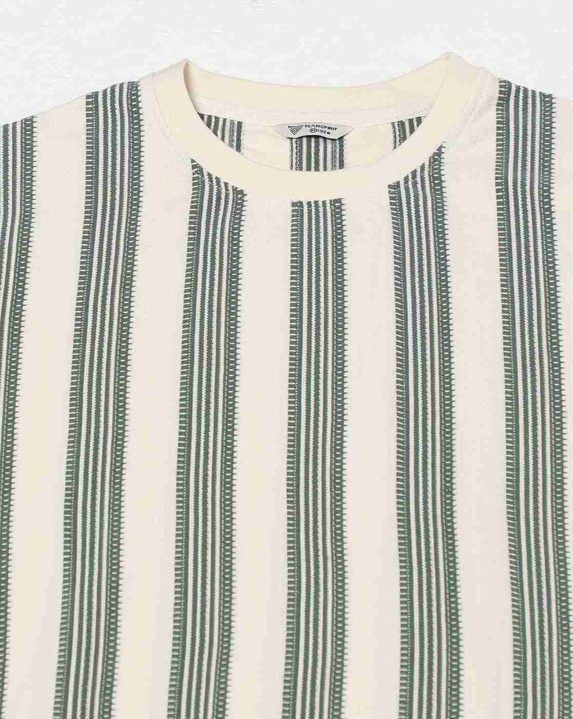 Teamspirit | Men Vertical Jacquard Striped Regular Fit Crew-Neck T-Shirt|4