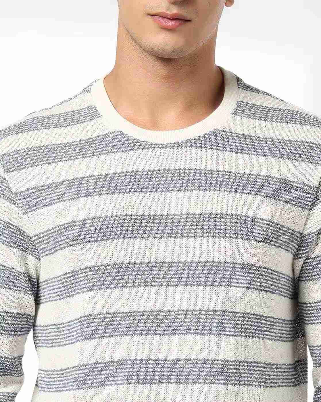 Teamspirit | Men Striped Regular Fit Crew-Neck T-Shirt|4