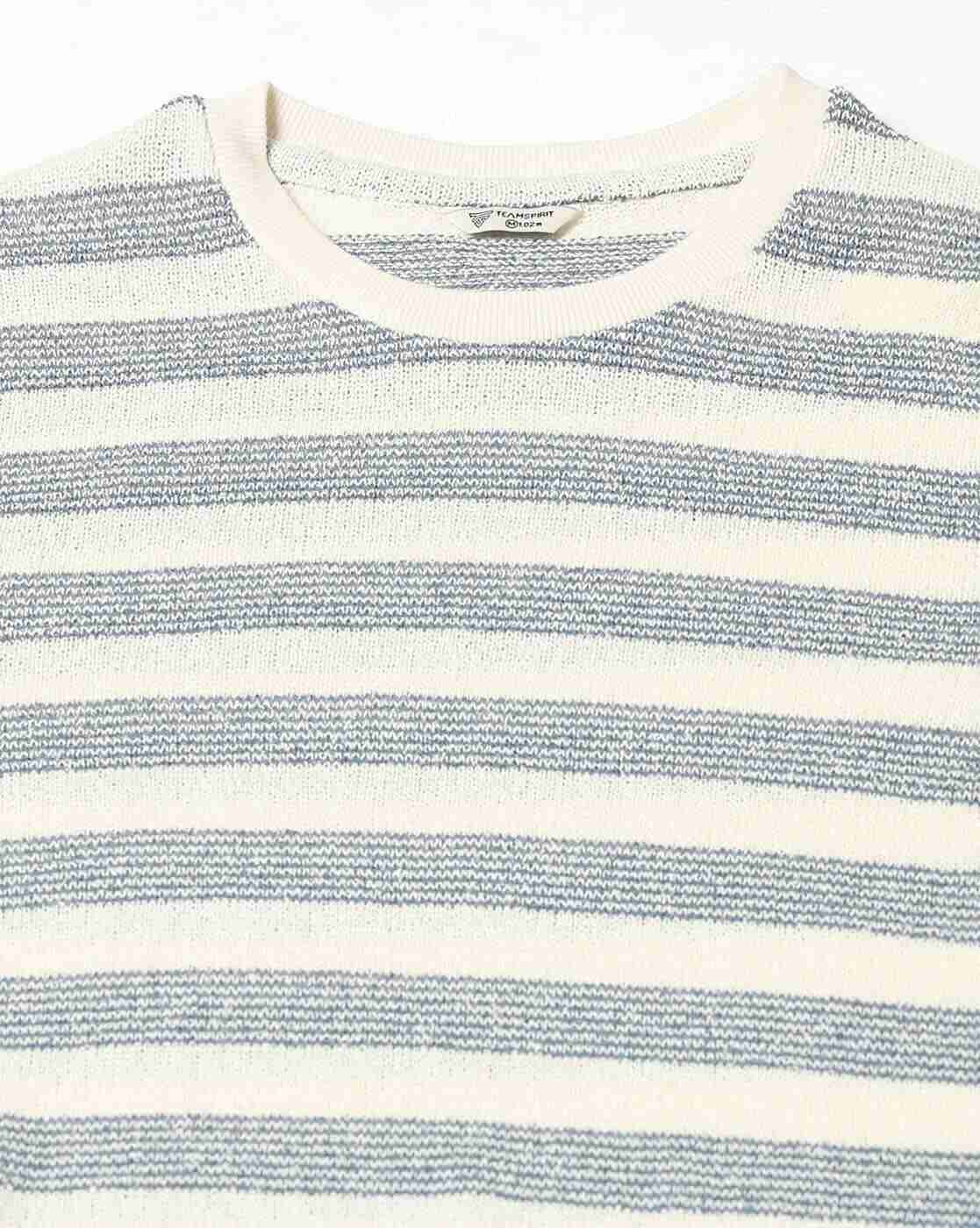 Teamspirit | Men Striped Regular Fit Crew-Neck T-Shirt|5