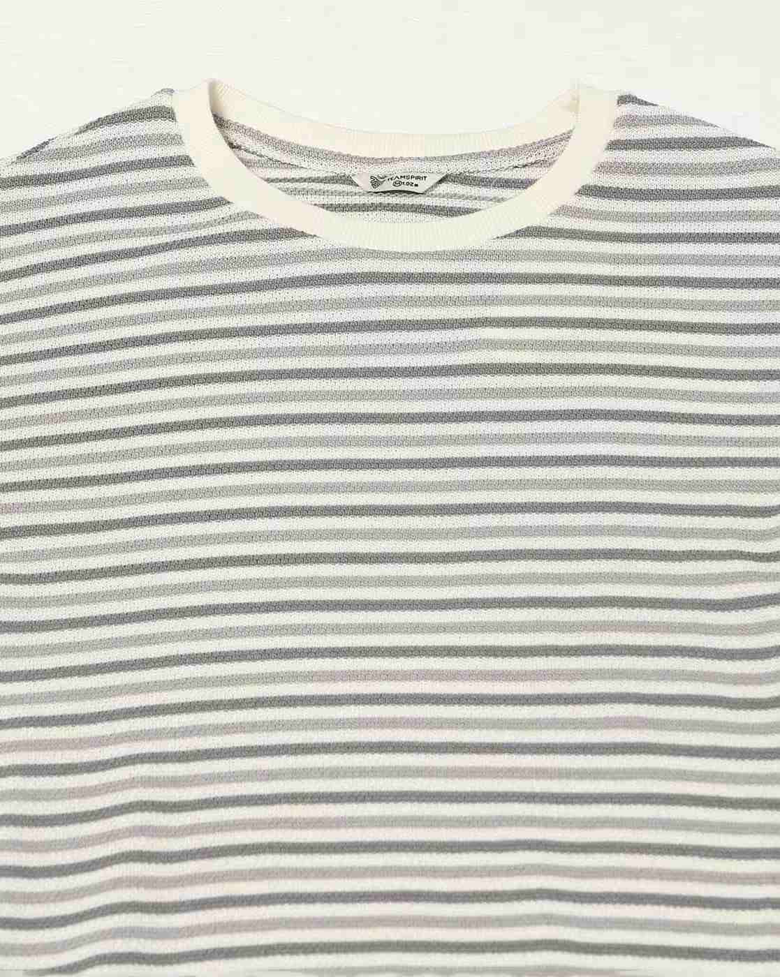 Teamspirit | Men Striped Regular Fit Crew-Neck T-Shirt|5