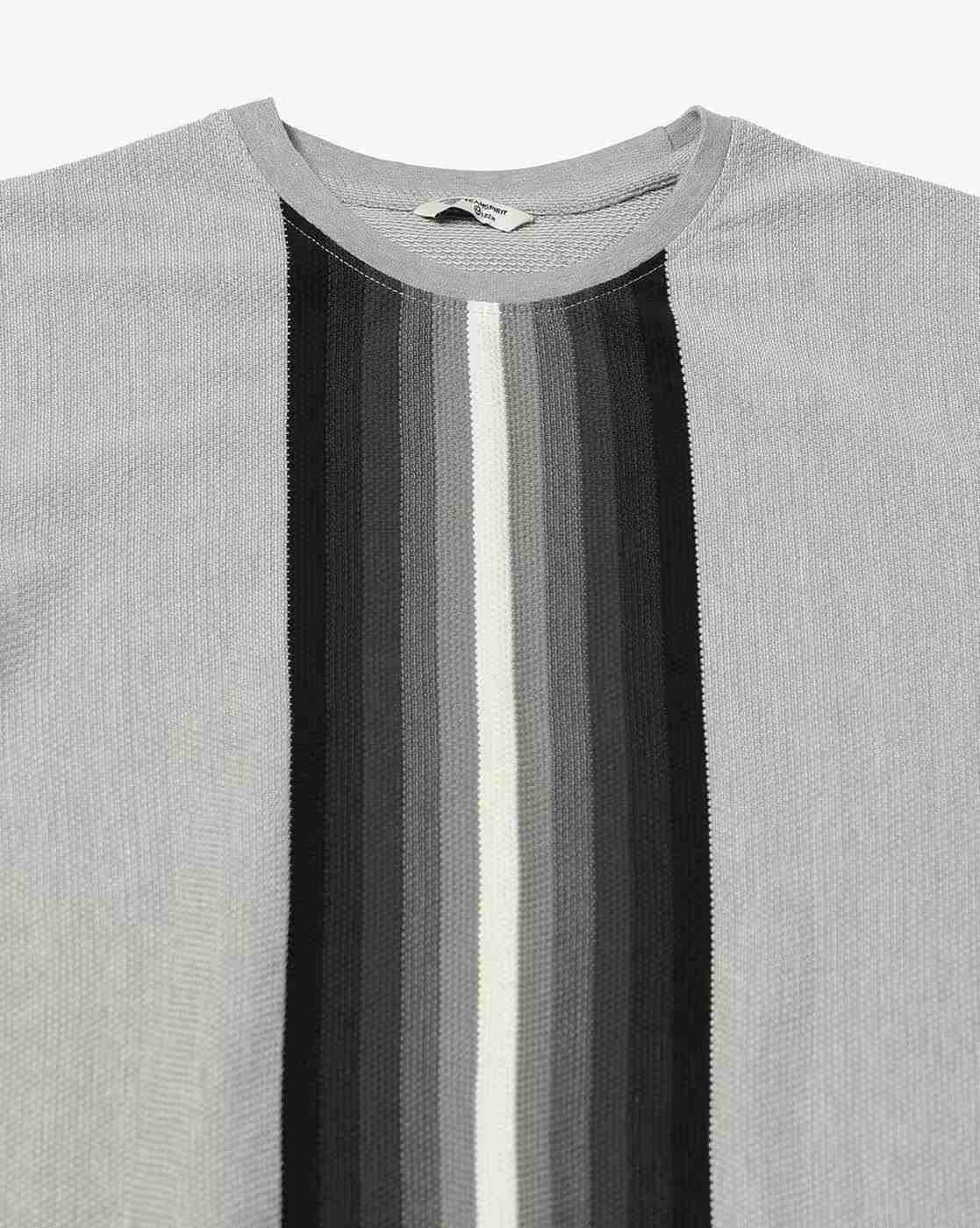 Teamspirit | Men Striped Regular Fit Crew-Neck T-Shirt|5