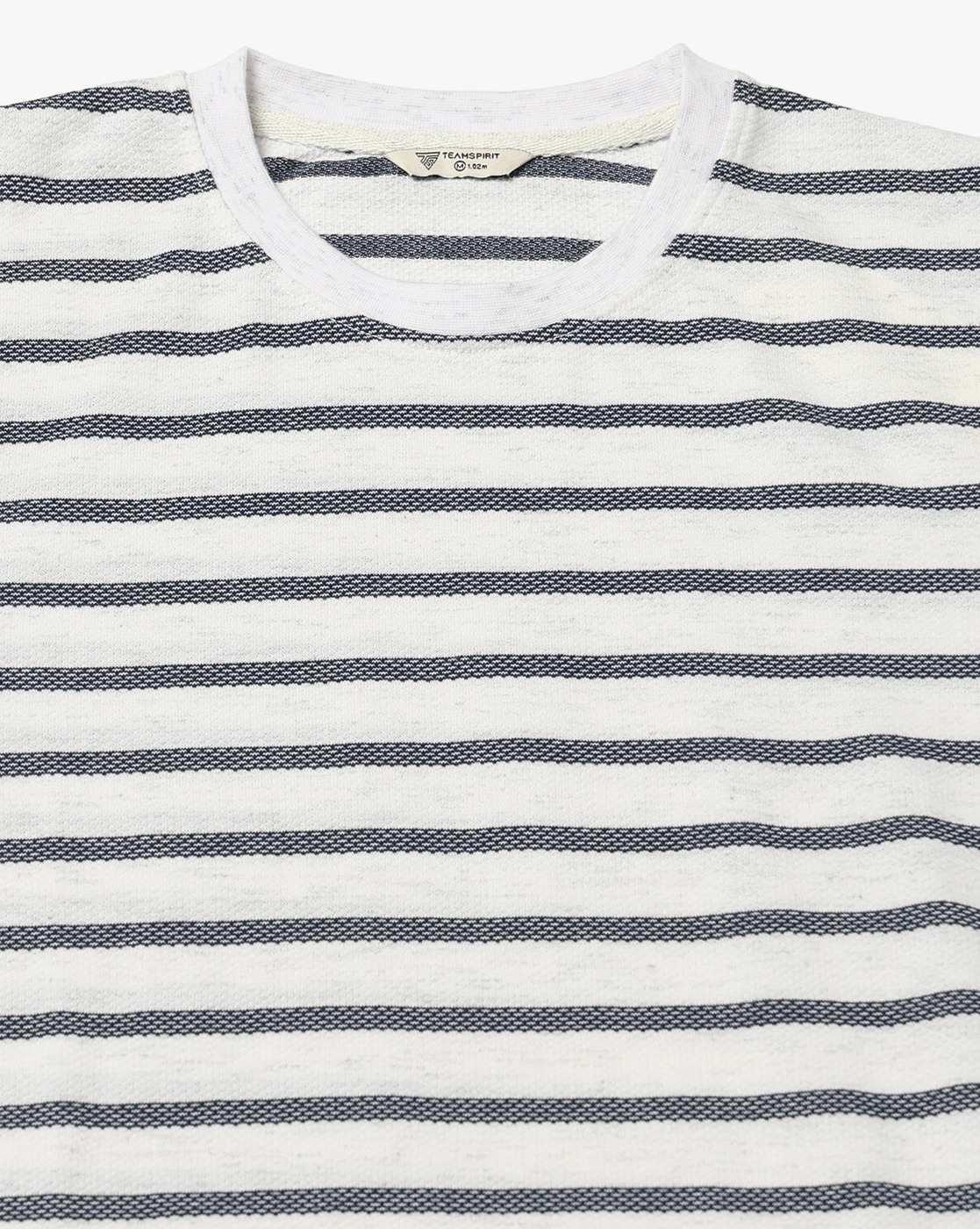Teamspirit | Men Striped Regular Fit Crew-Neck T-Shirt|4