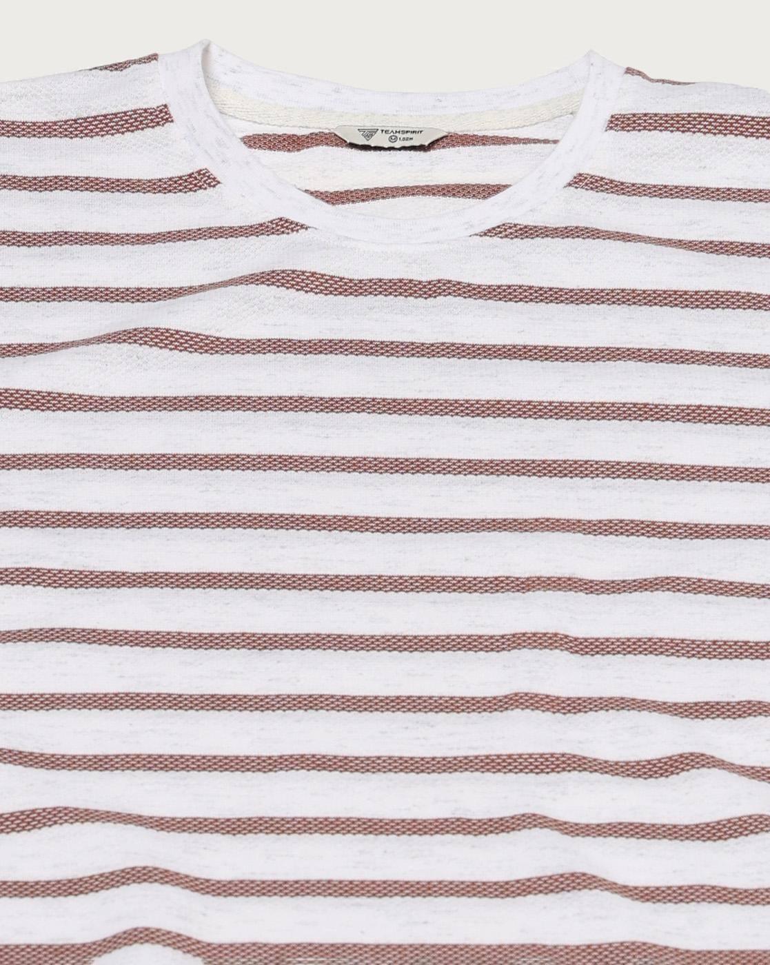 Teamspirit | Men Striped Regular Fit Crew-Neck T-Shirt|3