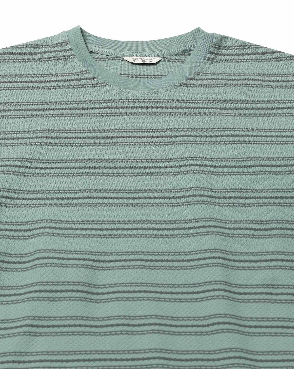 Teamspirit | Men Striped Regular Fit Crew-Neck T-Shirt|4
