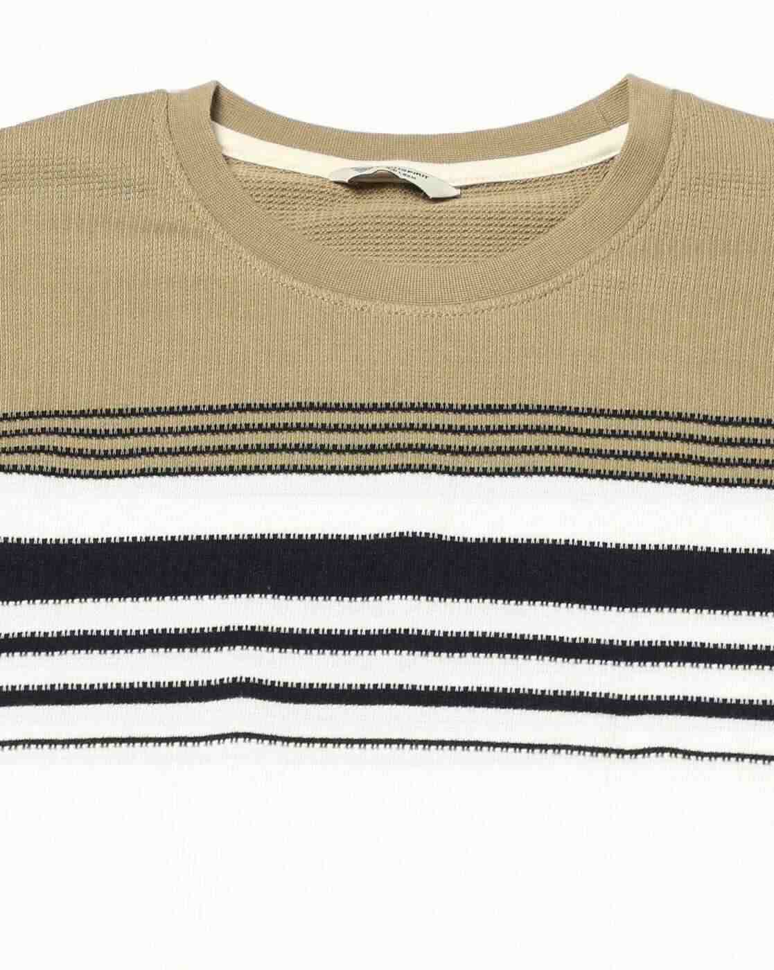 Teamspirit | Men Striped Regular Fit Crew-Neck T-Shirt|4