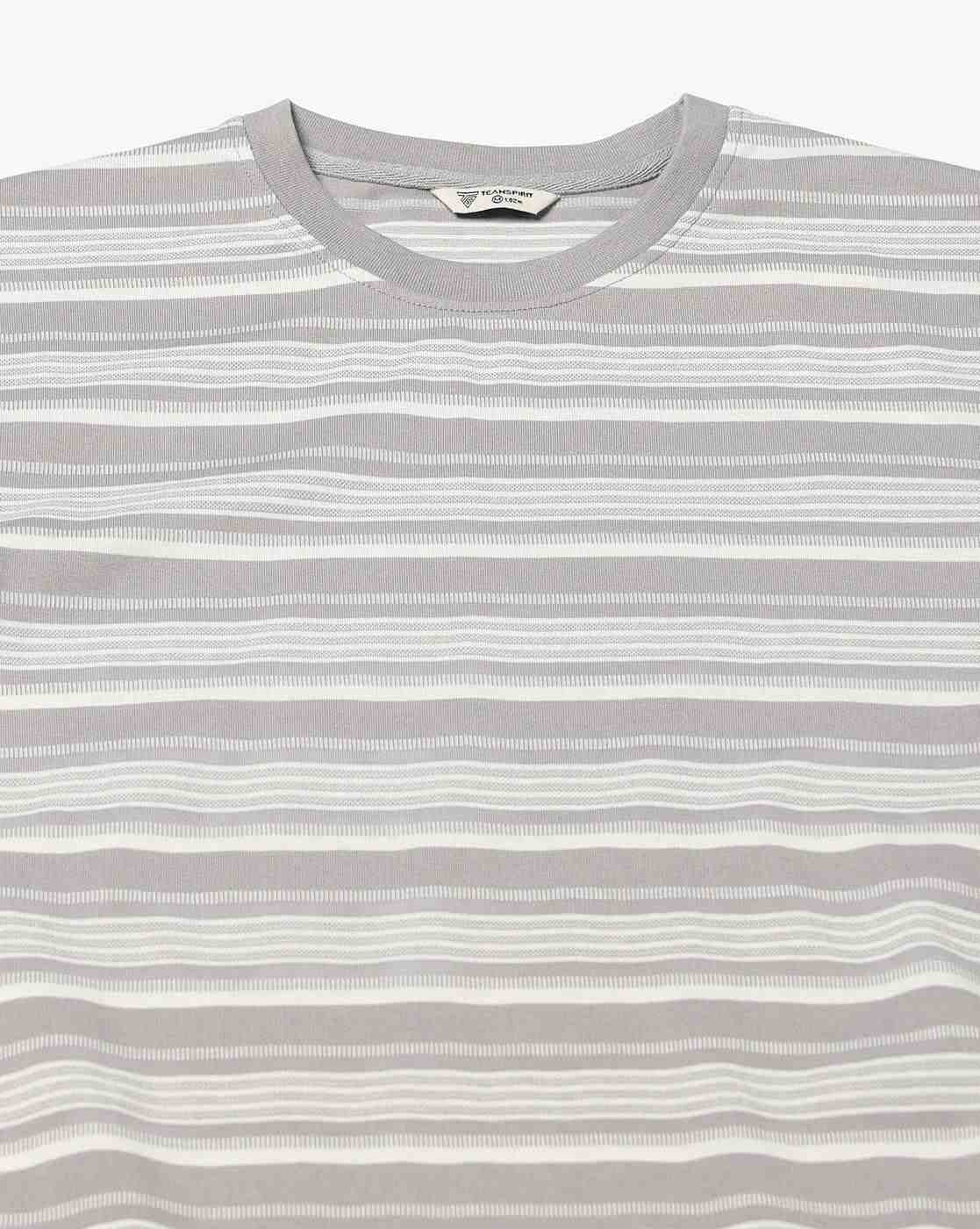 Teamspirit | Men Striped Regular Fit Crew-Neck T-Shirt|4