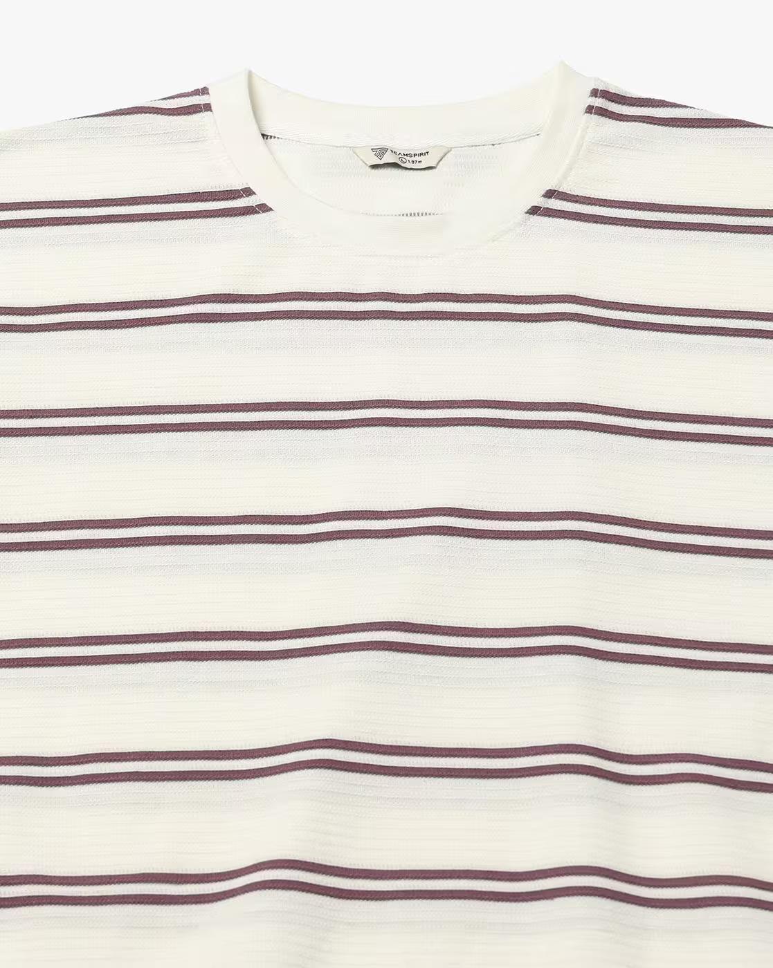 Teamspirit | Men Striped Regular Fit Crew-Neck T-Shirt|4