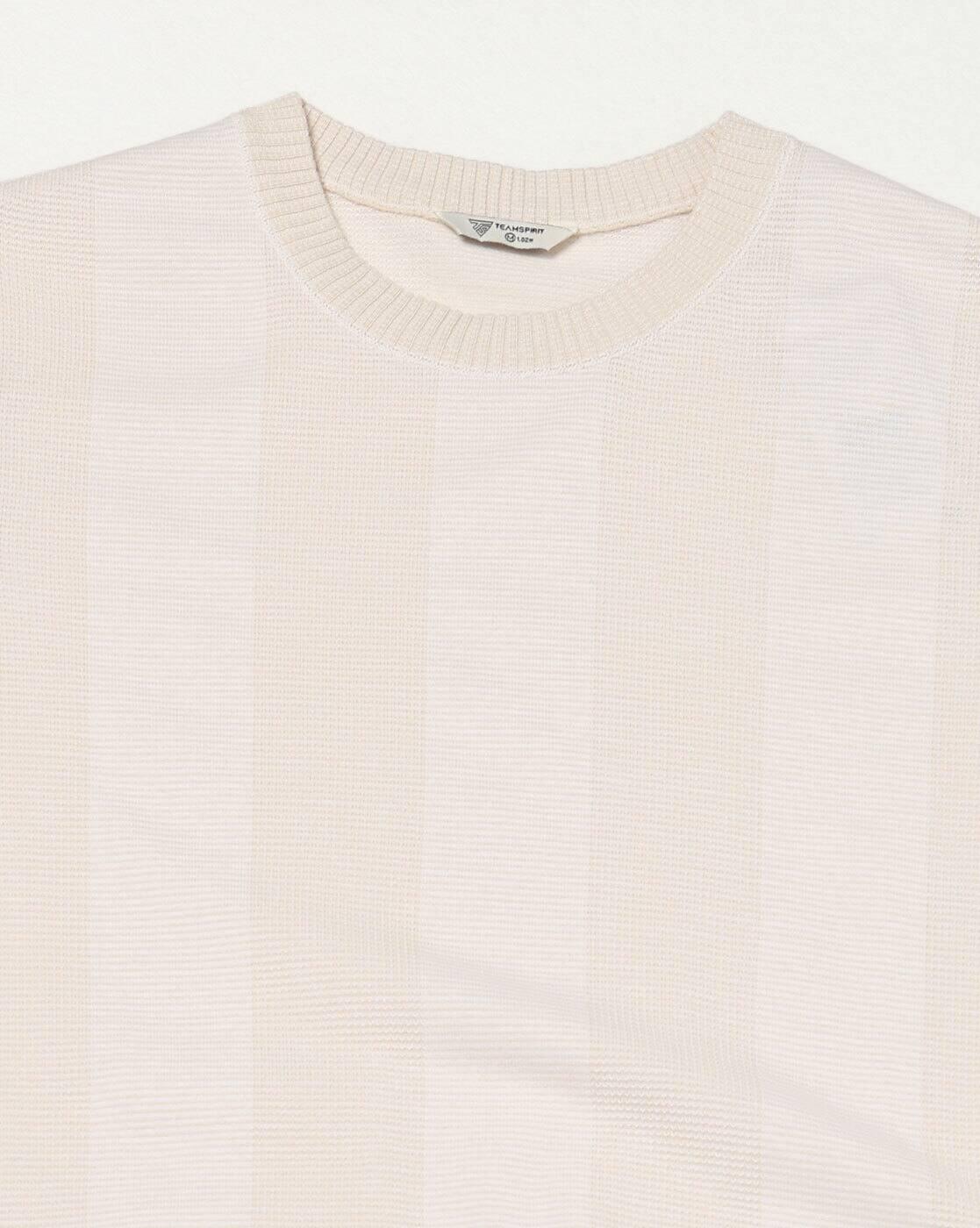 Teamspirit | Men Verti Wide Striped Regular Fit Crew-Neck T-Shirt|4