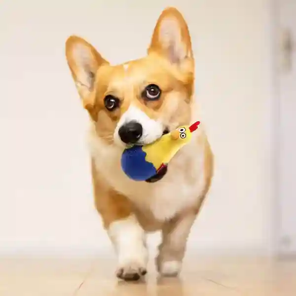 GiGwi Egg Wobble Dog Toys