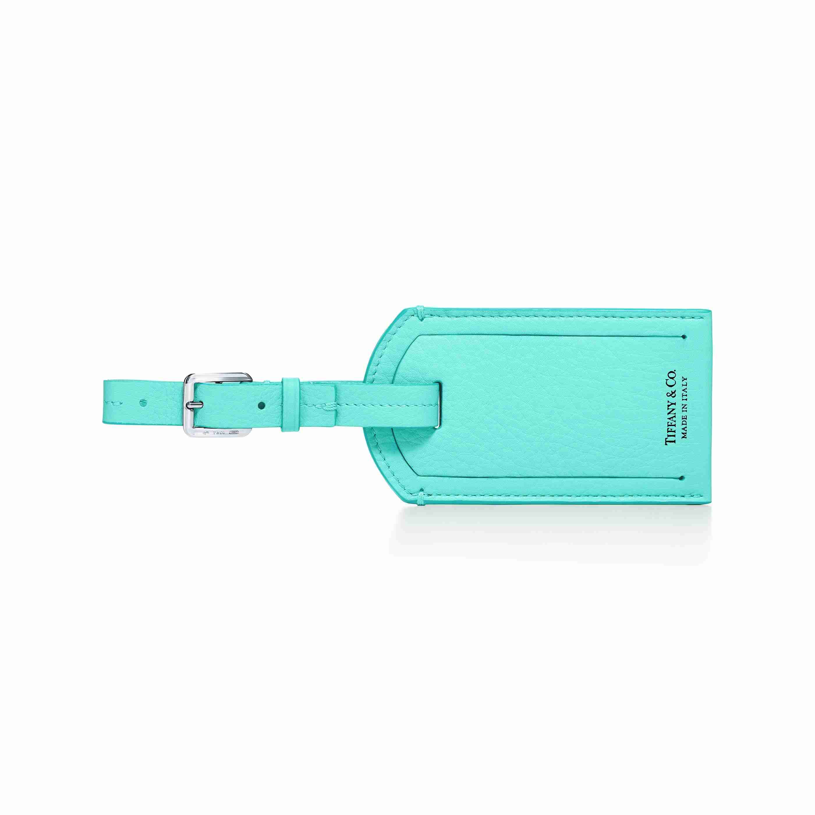 Color Block : Luggage Tag