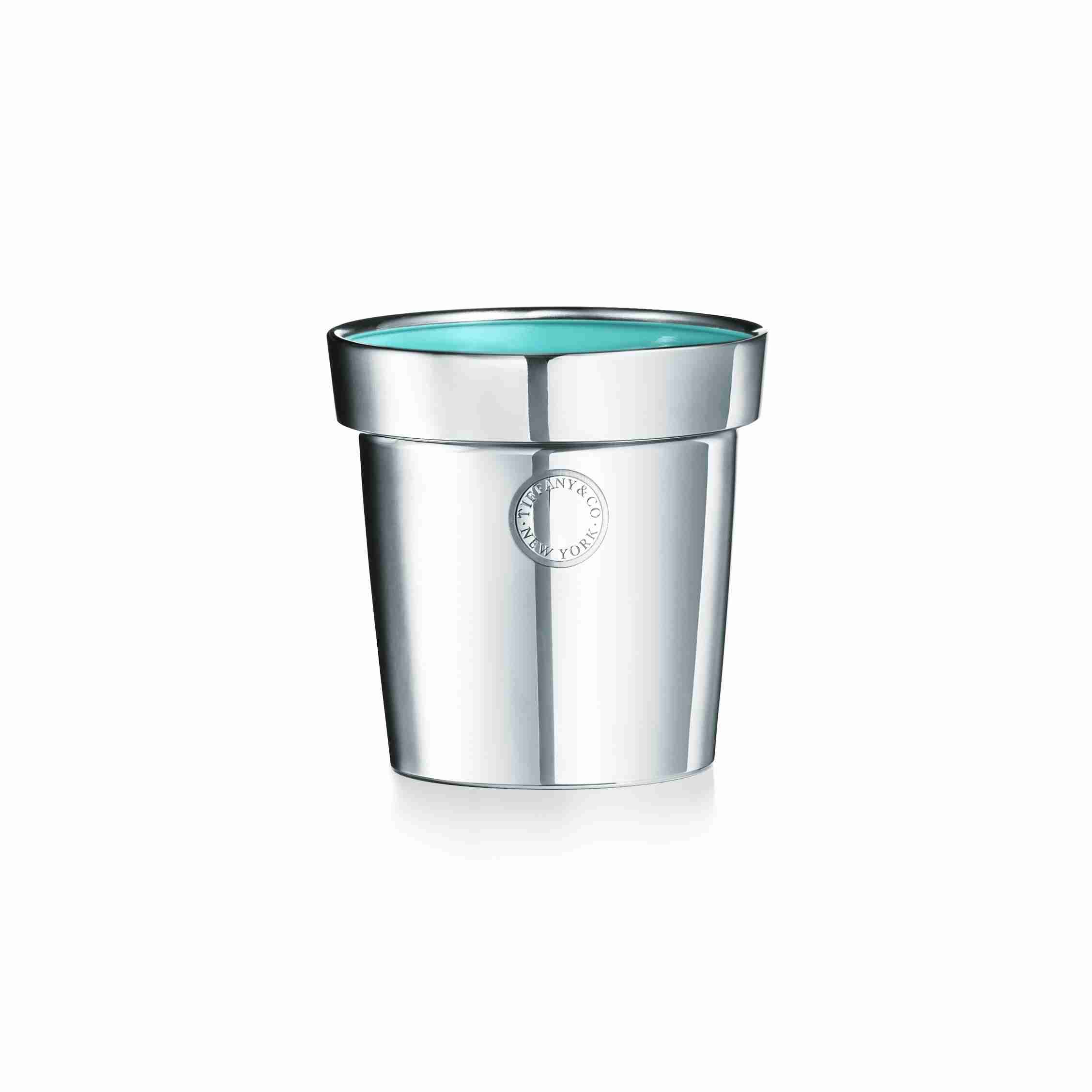Everyday Objects : Sterling Silver Flowerpot