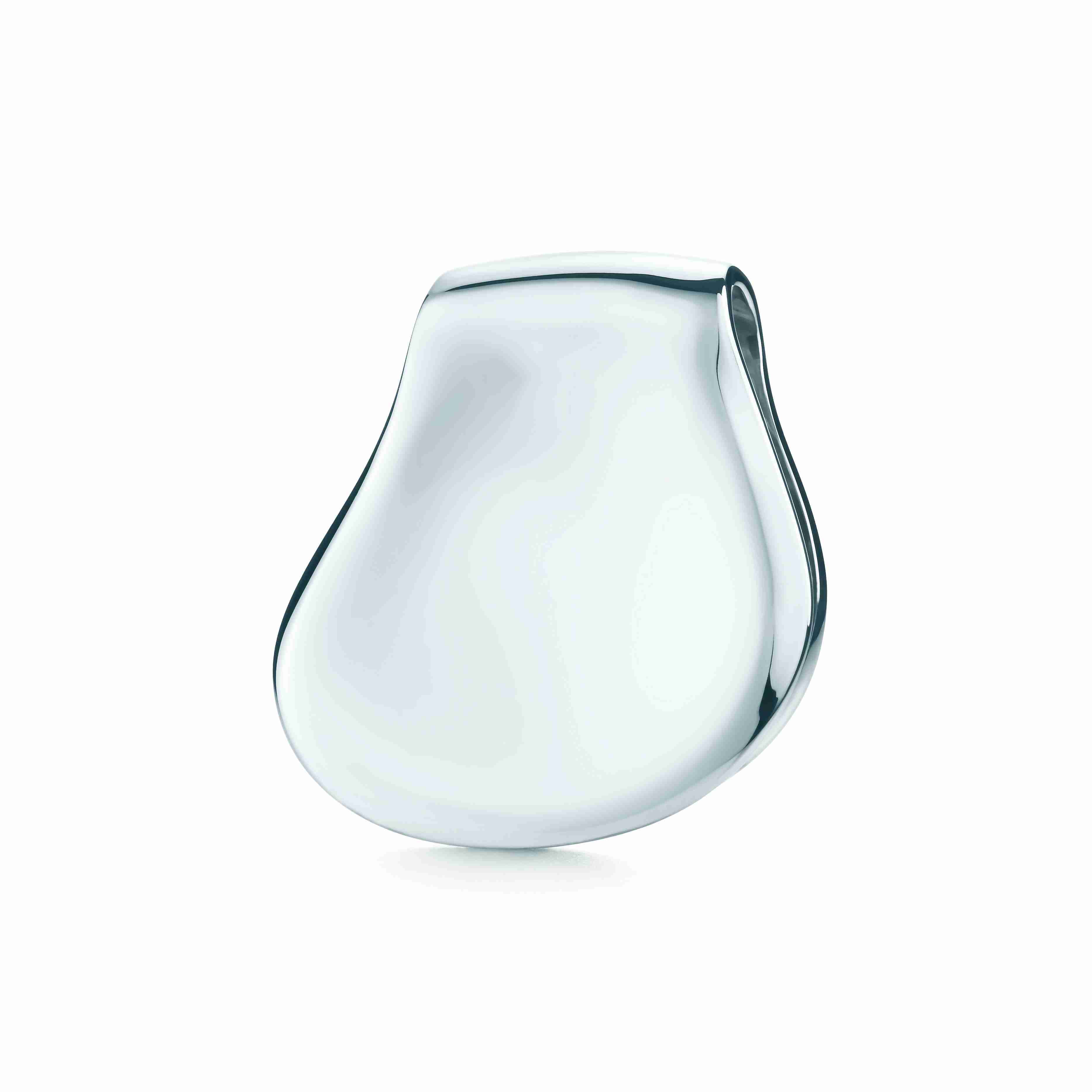 Elsa Peretti® : Thumbprint Money Clip