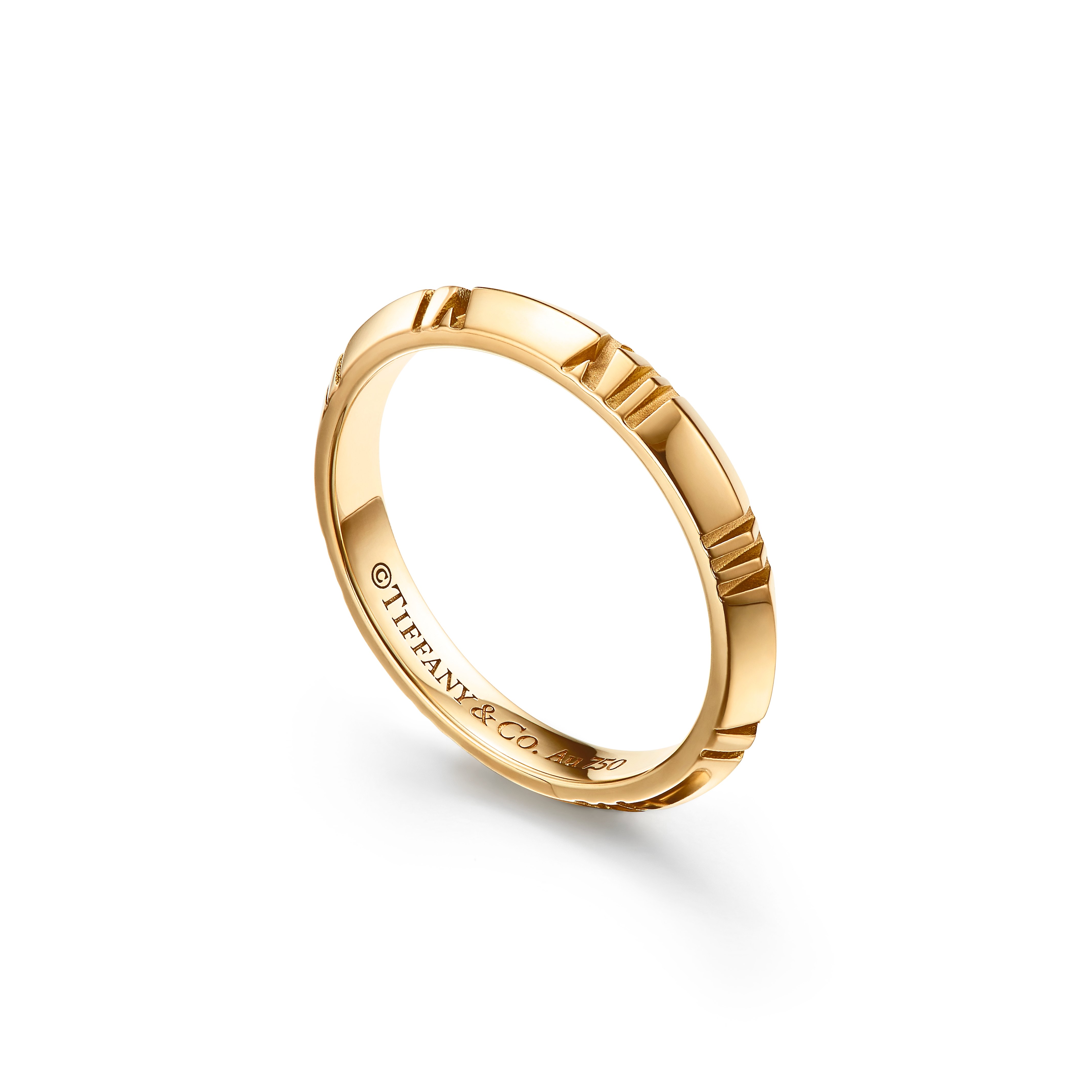 Atlas®:X Closed Narrow Ring_x000D_
in Yellow Gold, 3 mm Wide