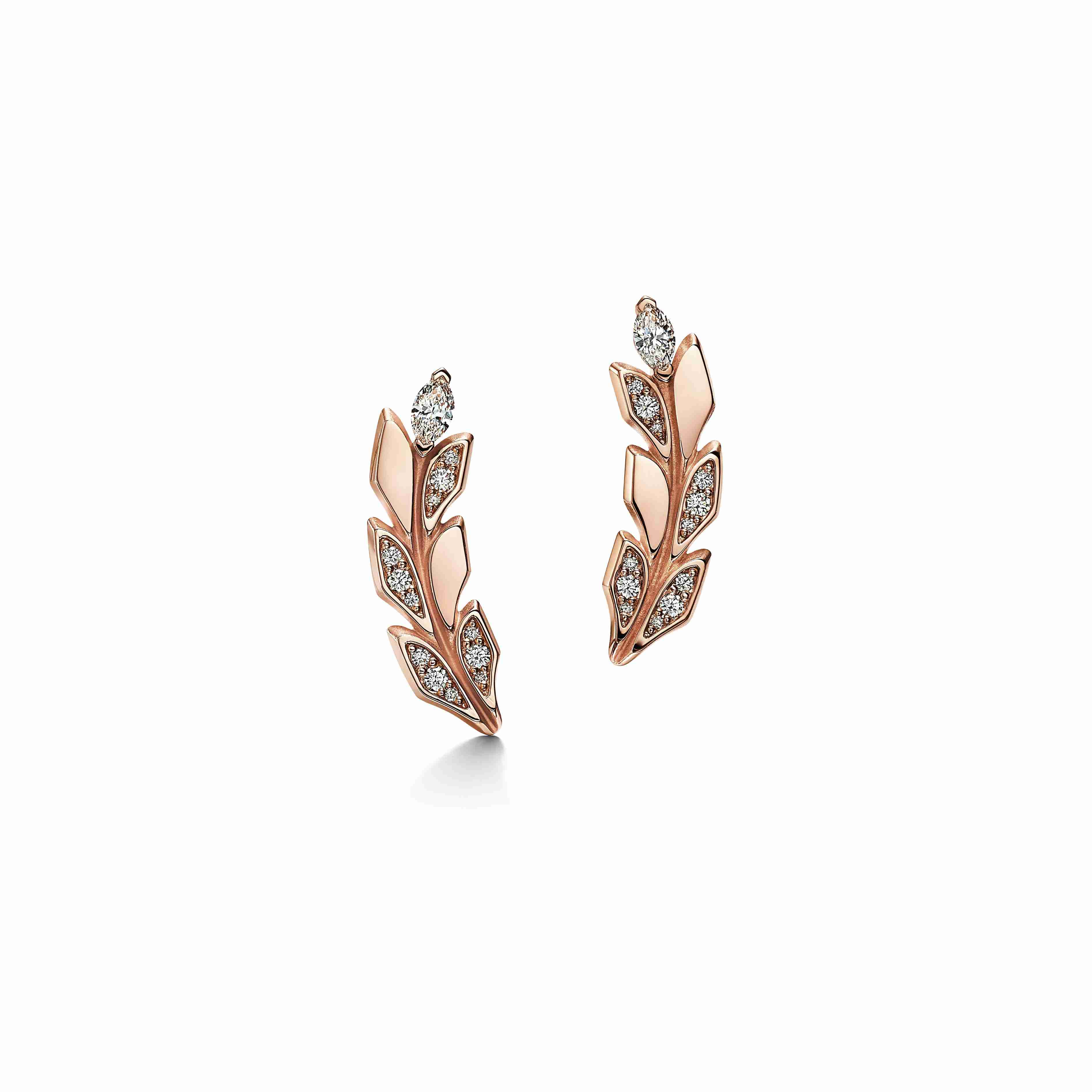 Tiffany Victoria® : Vine Climber Earrings in Rose Gold with Diamonds