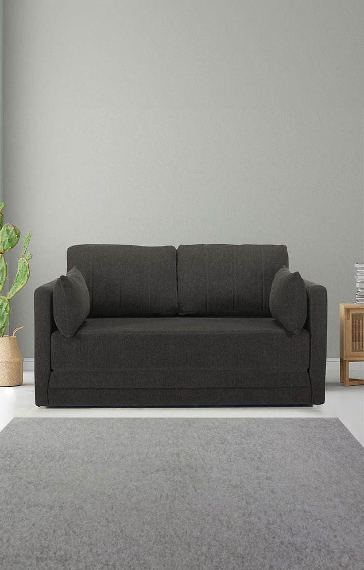 NEUDOT Max Fabric Pull-Out Sofa Cum Bed for Living Room | 2 Seater Sofa Bed for Drawing Room & Bedroom | Diwan | Chocolate Brown Color