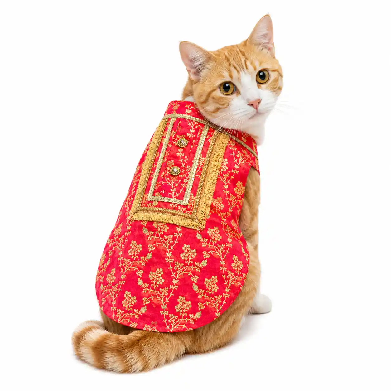 Pawsindia Traditional Royal Zari Kurta for Cats - Pink