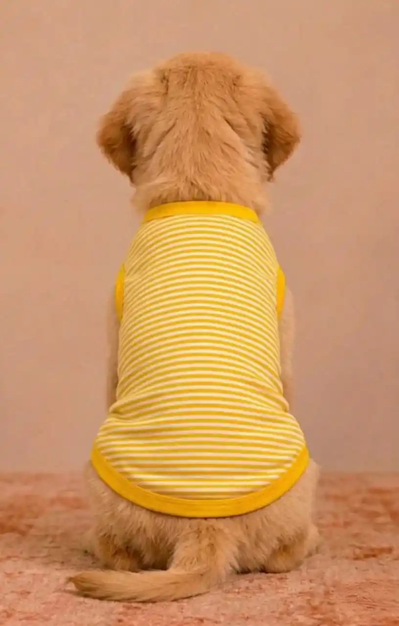 Pawsh Pet Yellow Stripe Pet Tshirt for Dogs
