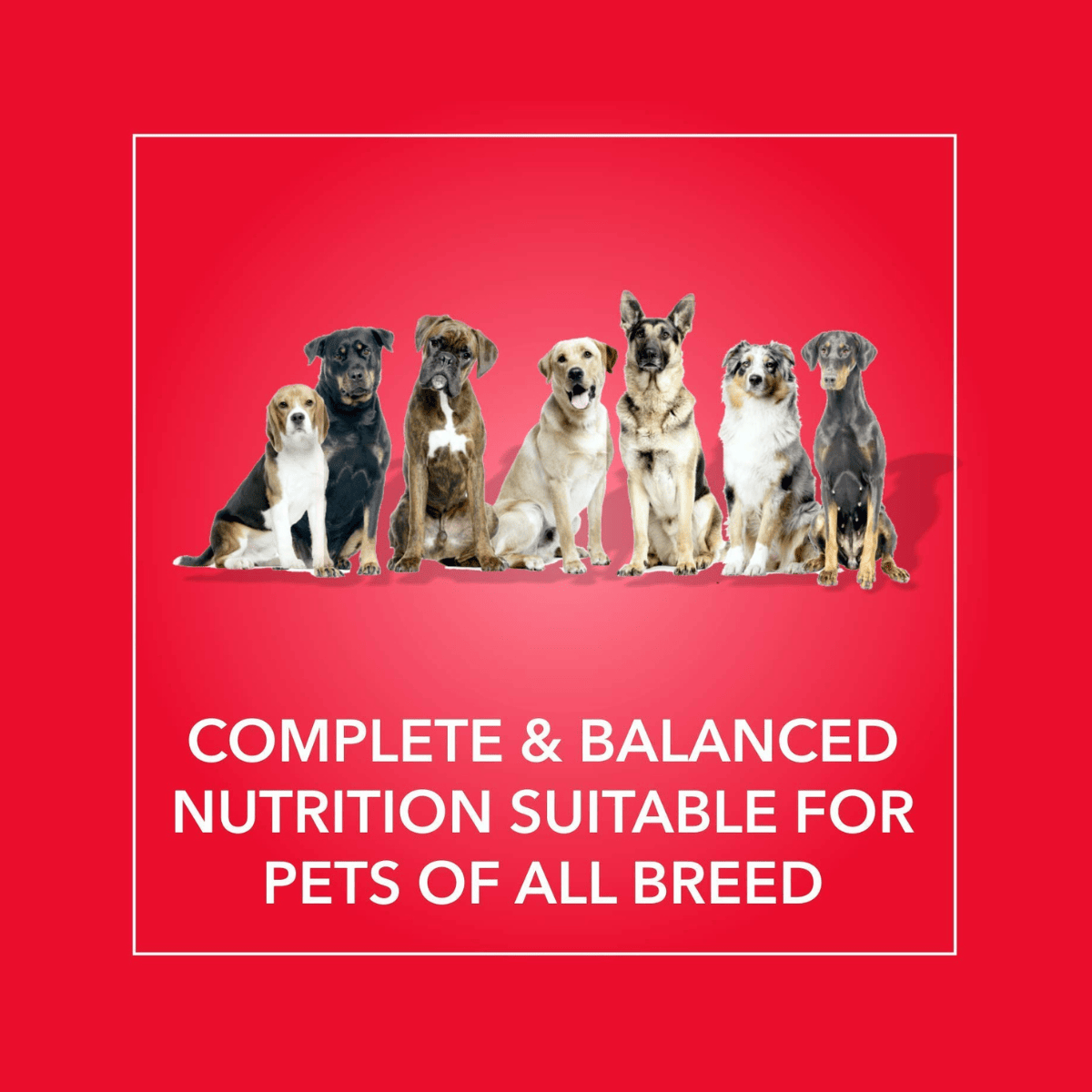 Purepet Chicken & Veg Adult Dry Dog Food - 20 Kg