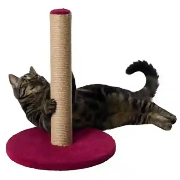 Trixie Cat Scratching Post on Plate