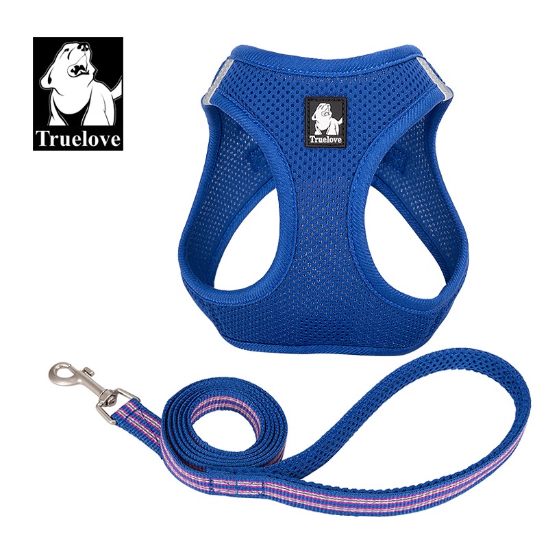Truelove Mesh Harness & Leash Set for Cats & Dogs - Blue, M