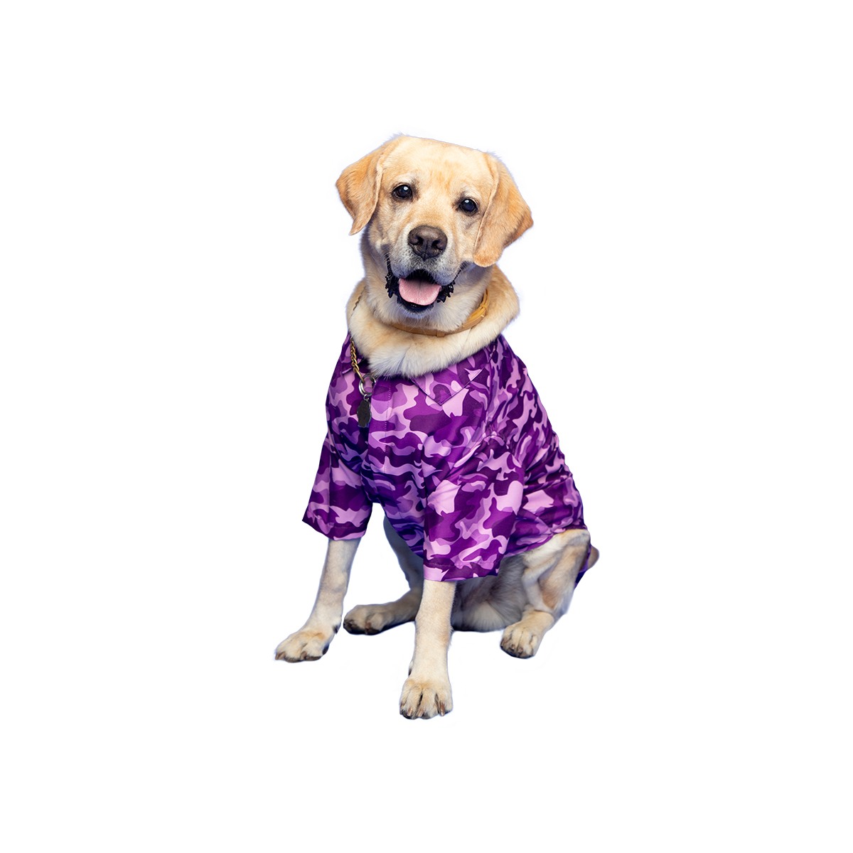 Ezra. | Ezra Polyester Blend Dog Shirt - Military