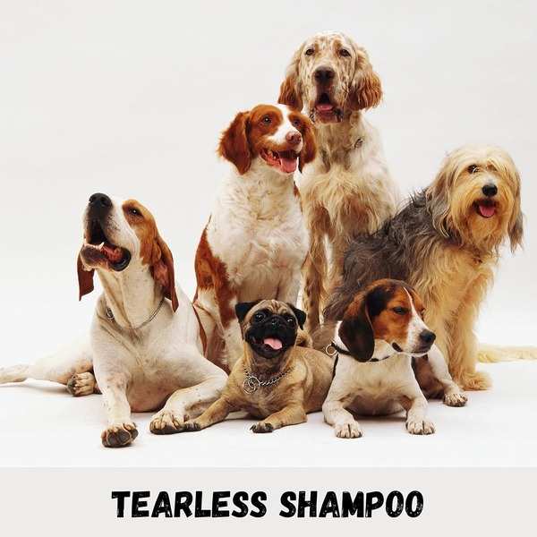 Biogroom Wiry Coat Texturizing Shampoo - 355 ml