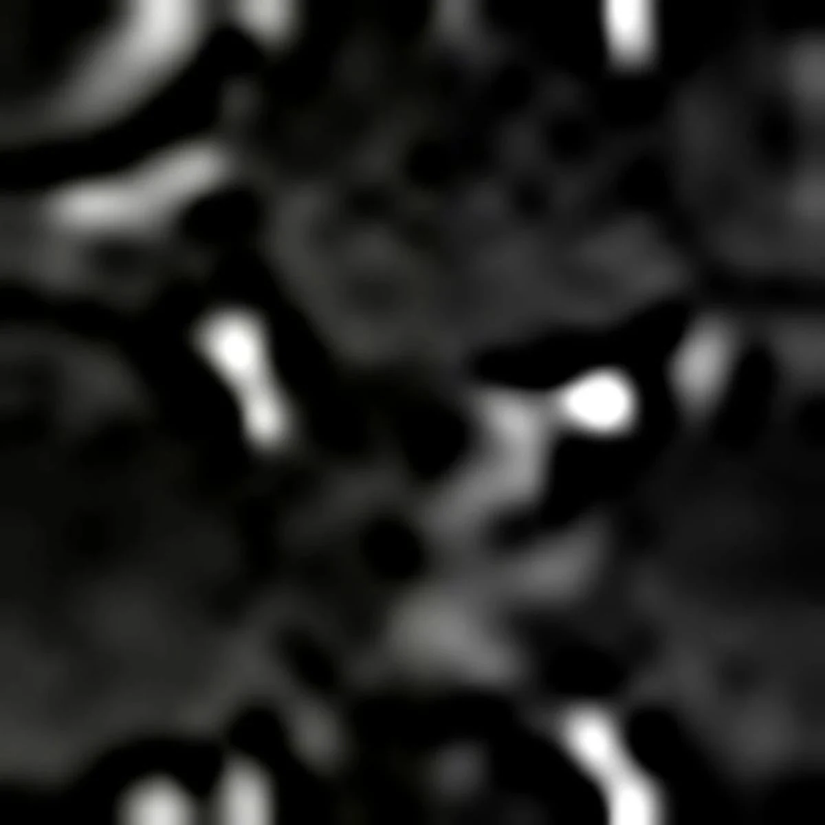 L-Fold Black