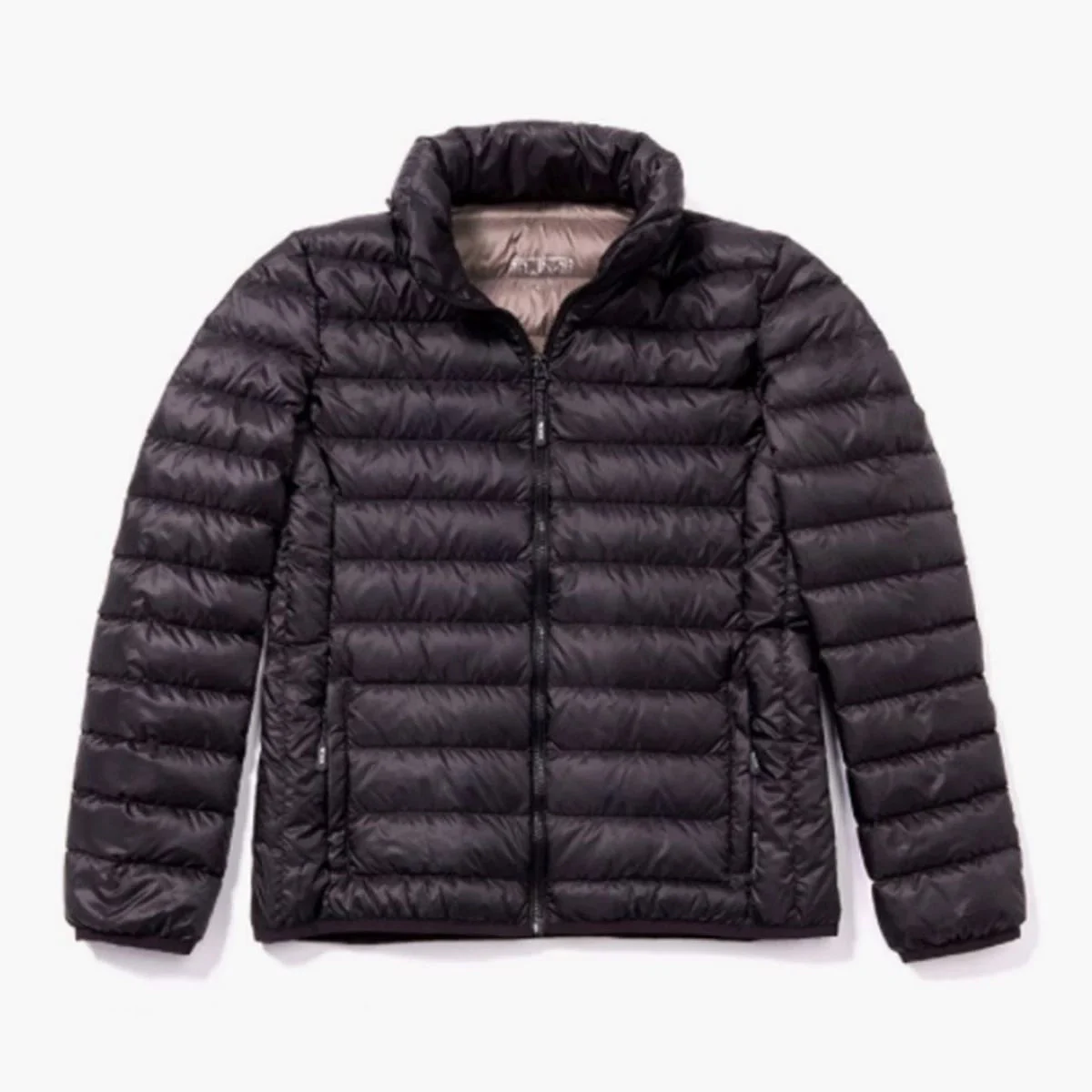 Womens Pax Charlotte Jacket