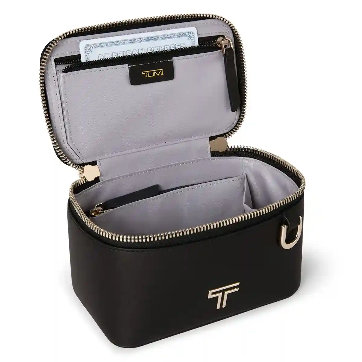 Lex Mini Train Case Crossbody