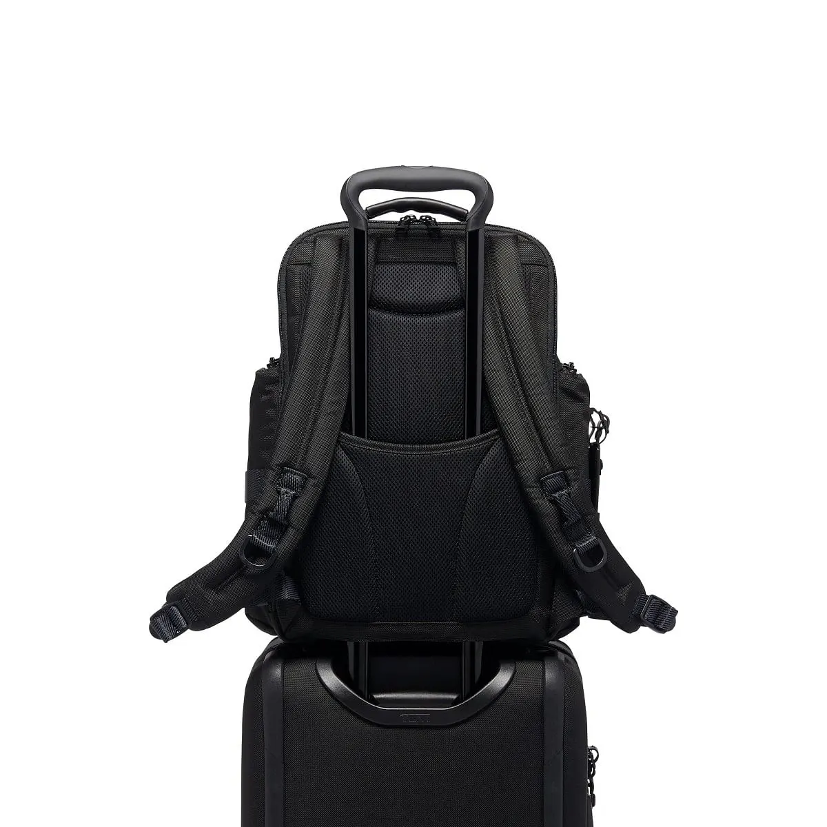 Sheppard Deluxe Brief Pack Backpacks Black