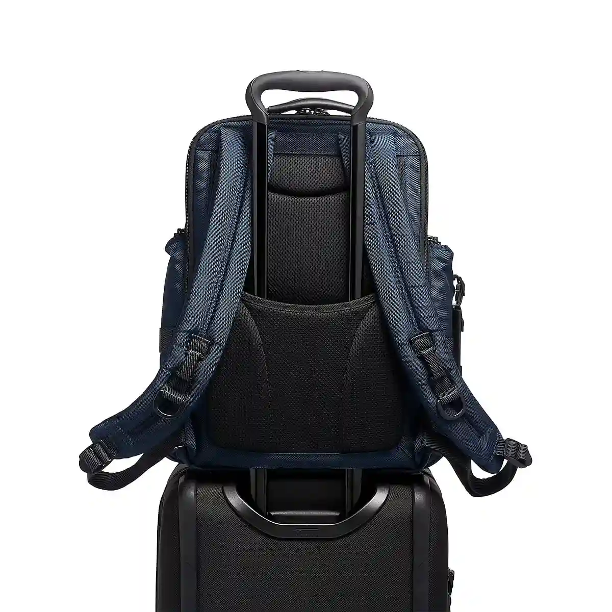 Sheppard Deluxe Brief Pack Backpacks Navy