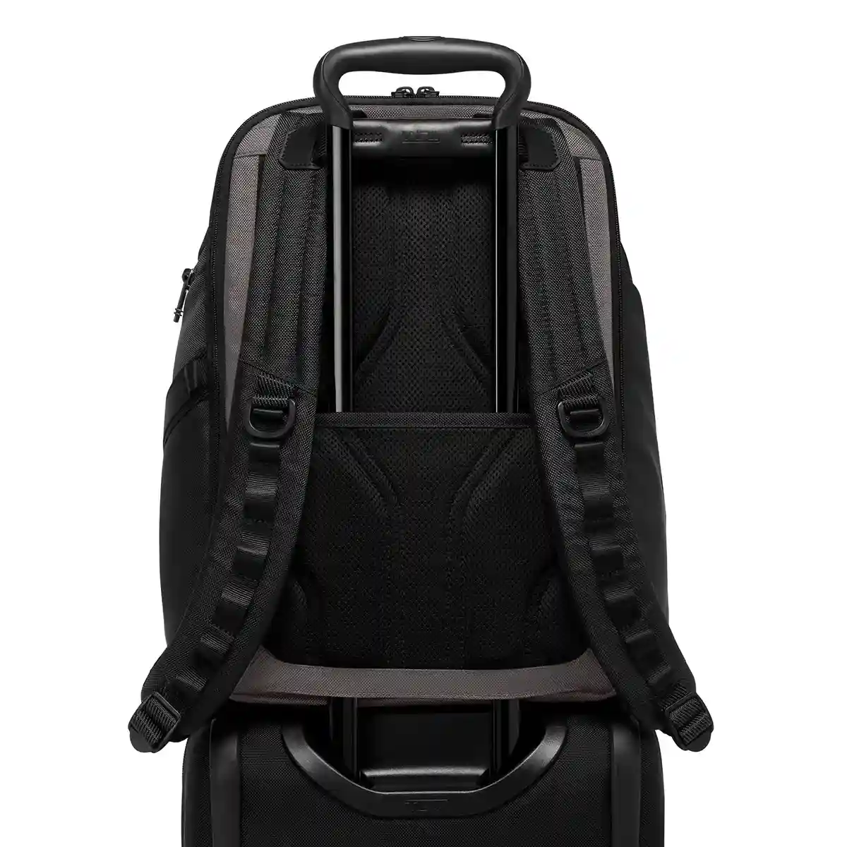 Search Backpack