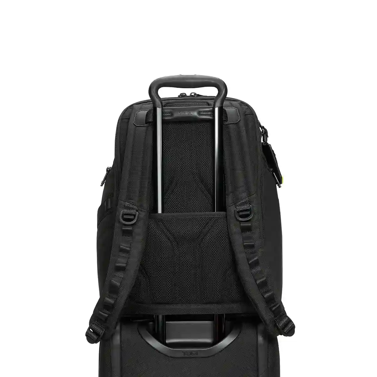 Search Backpack
