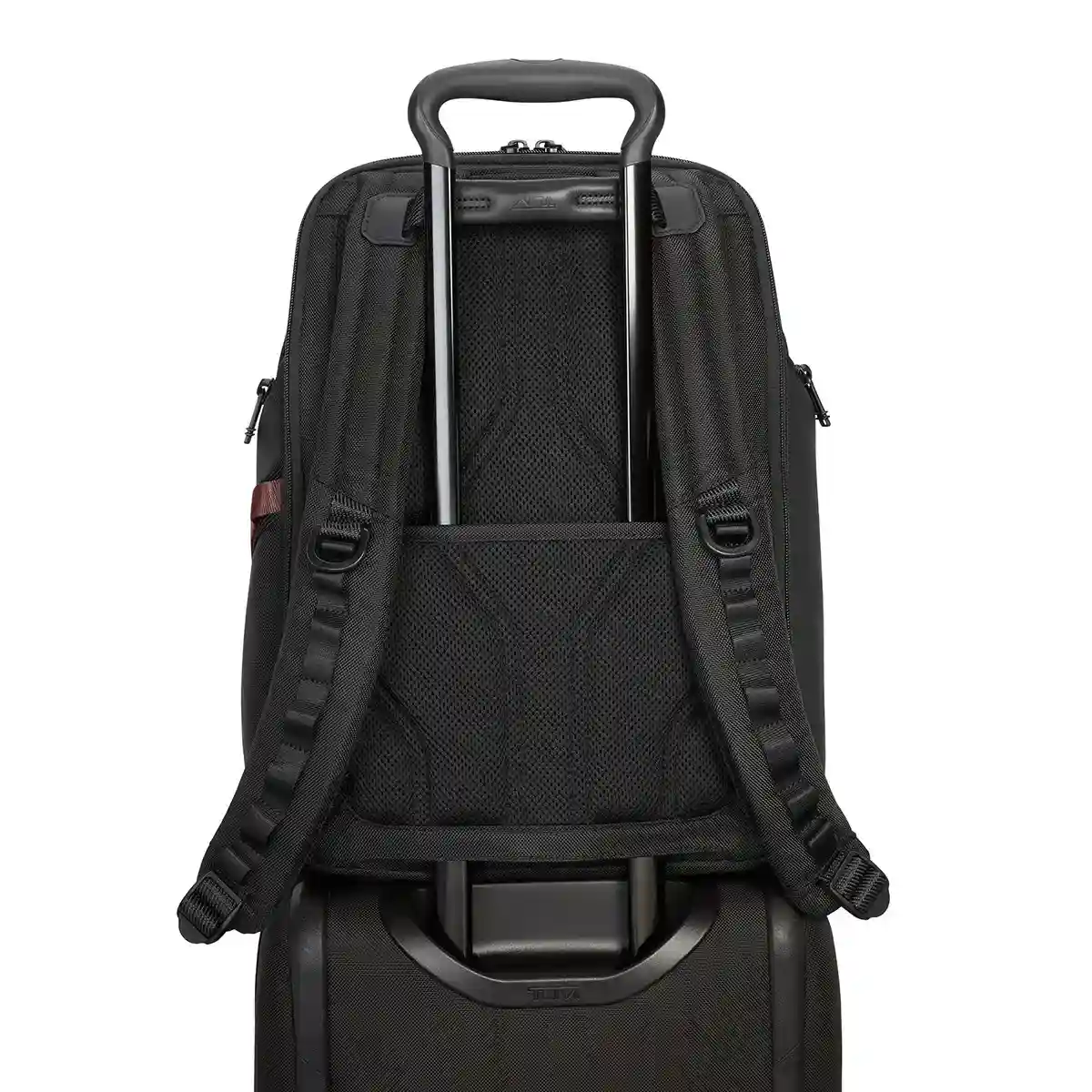 Search Backpack