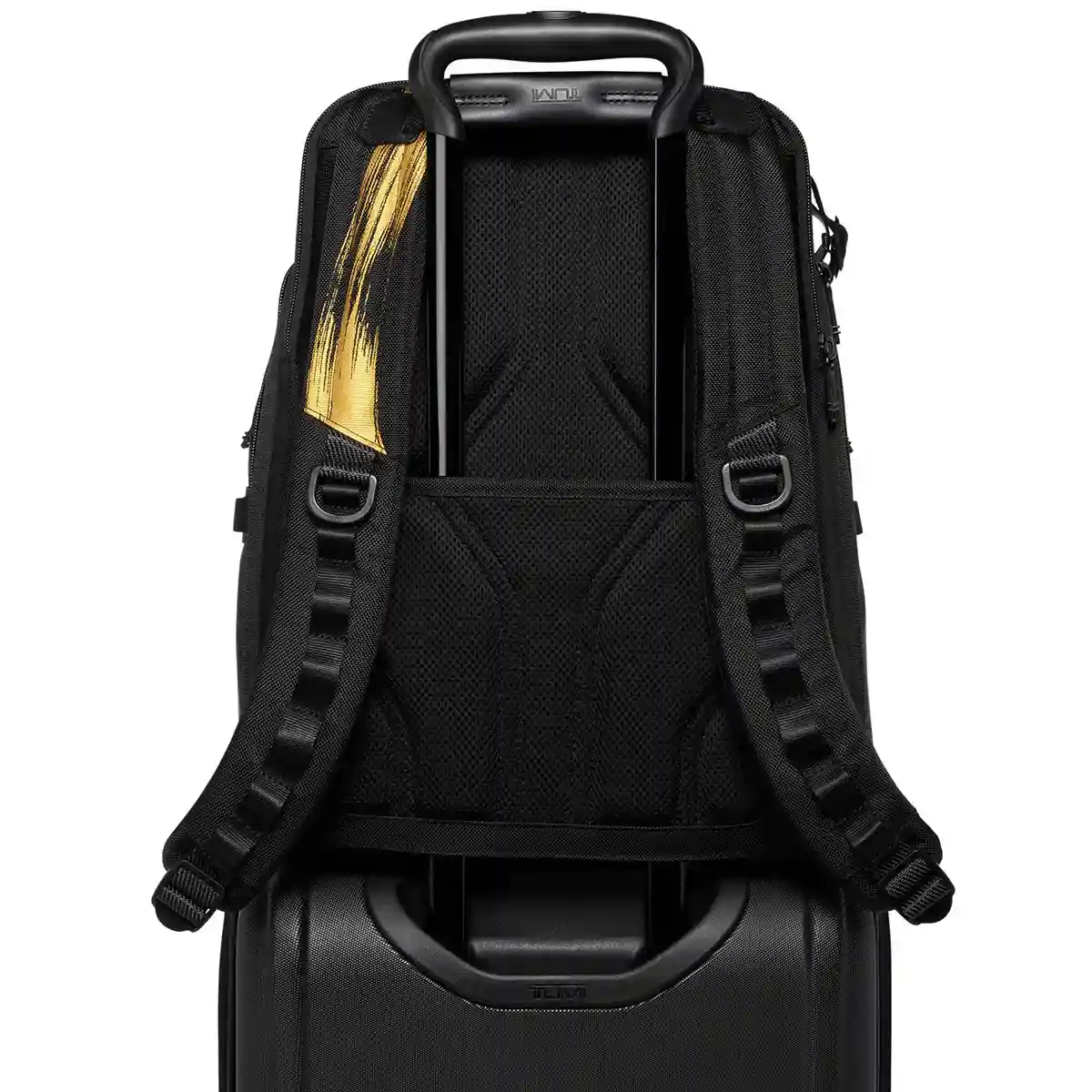 Navigation Backpack