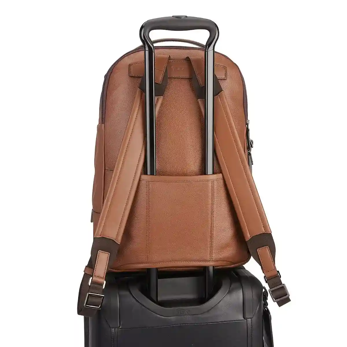 Webster Backpack